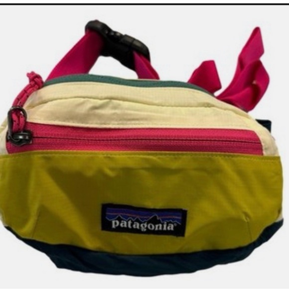 Patagonia Handbags - Patagonia black hole hip pack